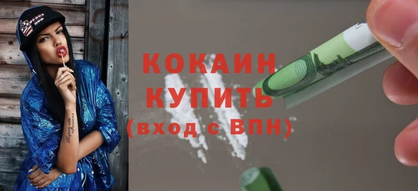 индика Нягань