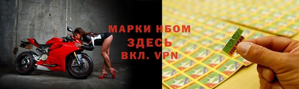 индика Нягань