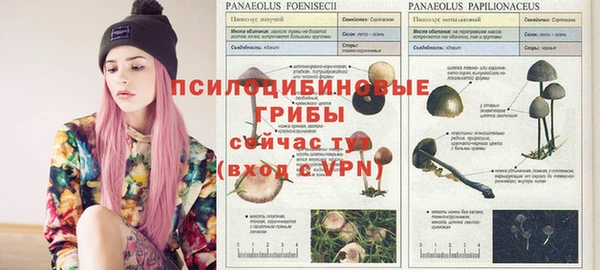 индика Нягань