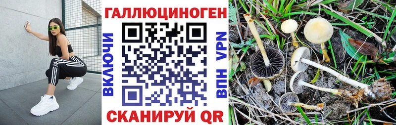 Псилоцибиновые грибы Psilocybine cubensis  гидра сайт  Сызрань 