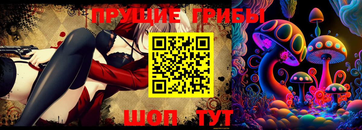 Сызрань  Псилоцибиновые грибы Psilocybe  Вход с VPN 