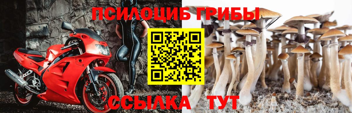 Псилоцибиновые грибы MAGIC MUSHROOMS Сызрань